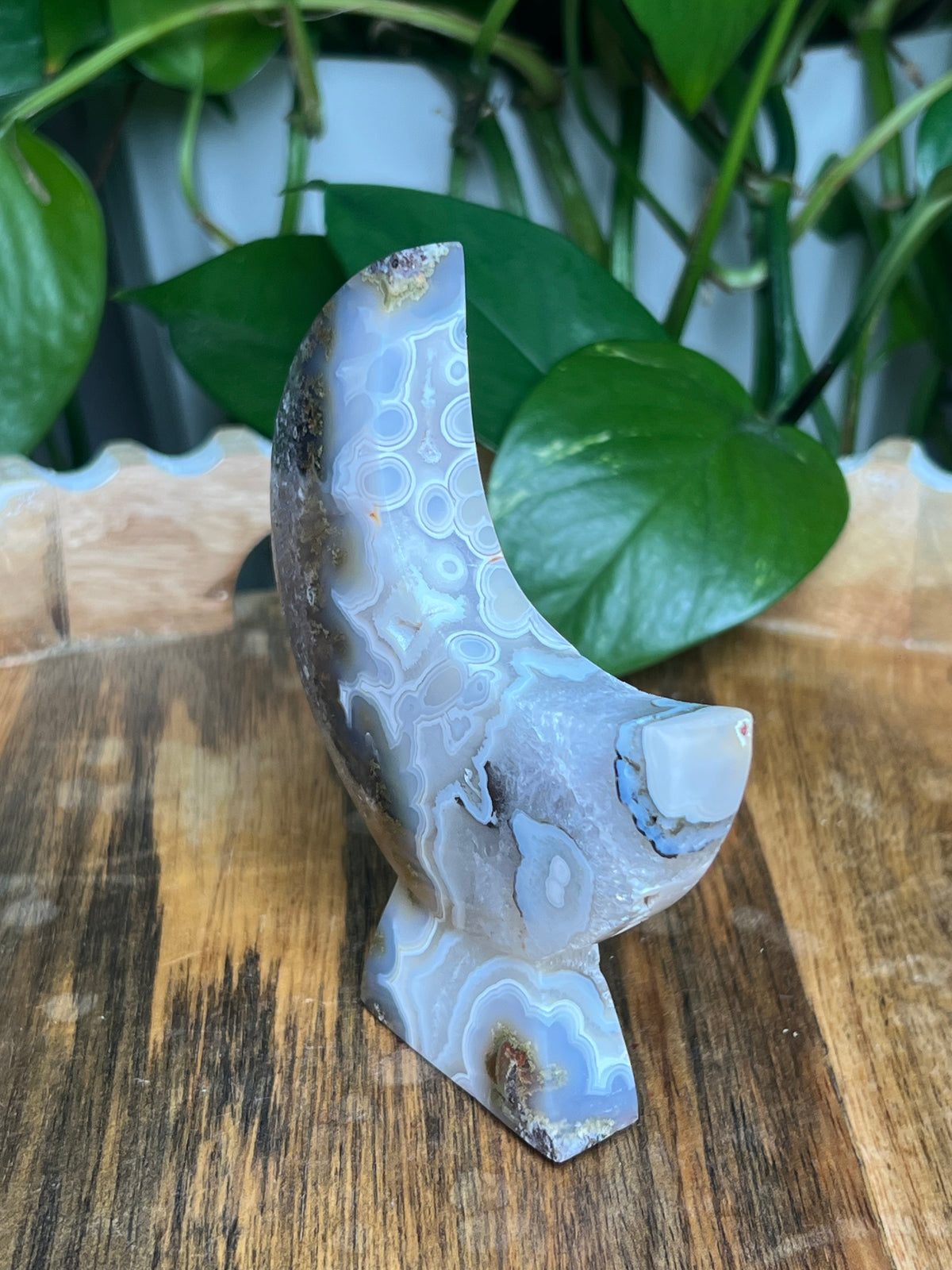 Scenic Moss Agate Self-Standing Moon: PZ