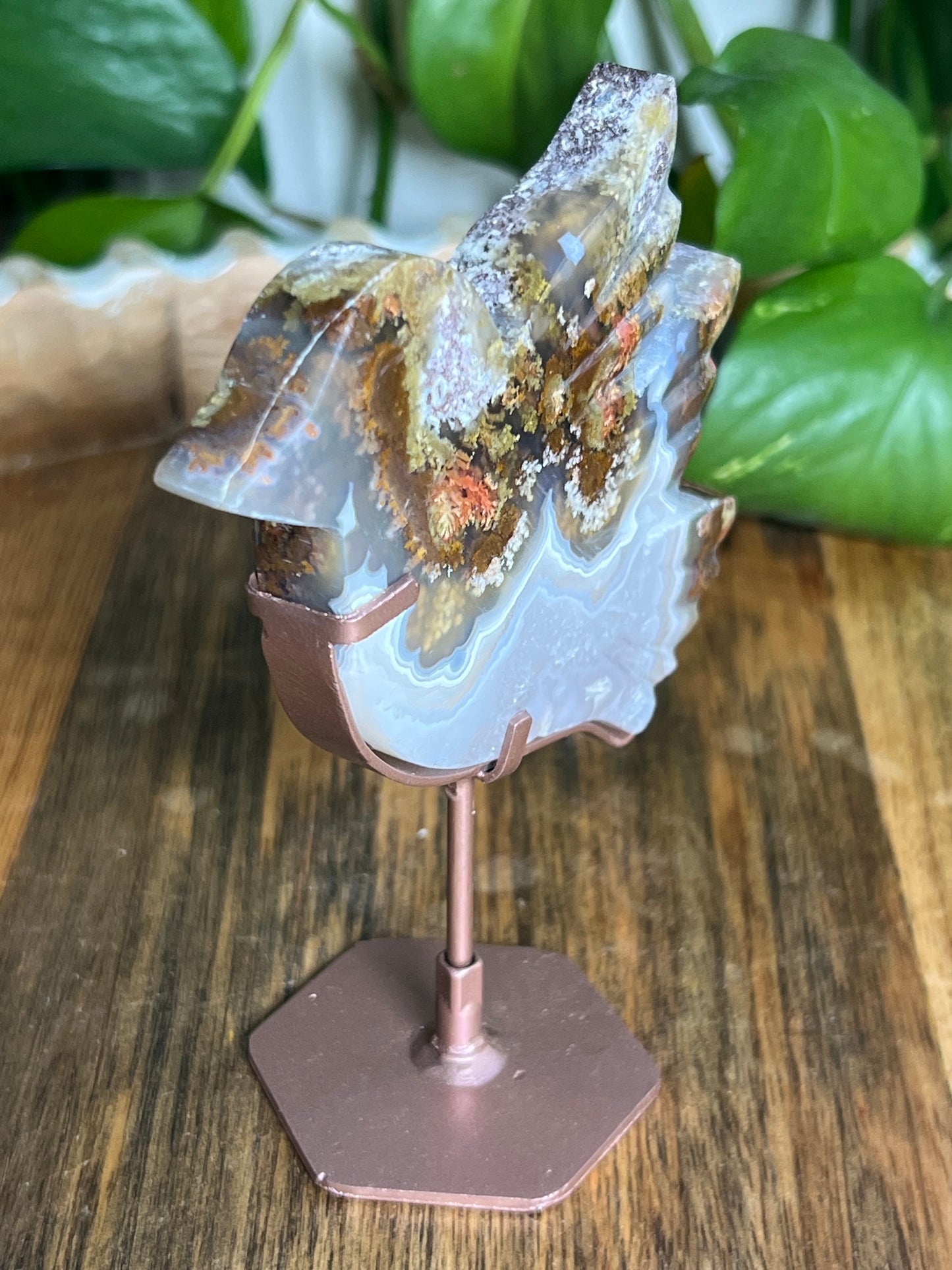 Scenic Moss Agate Bird