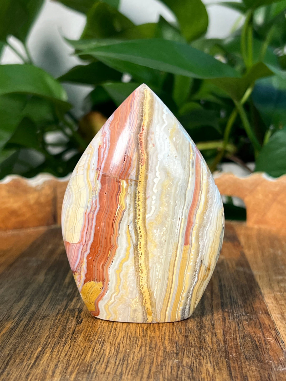 Crazy Lace Agate Flames