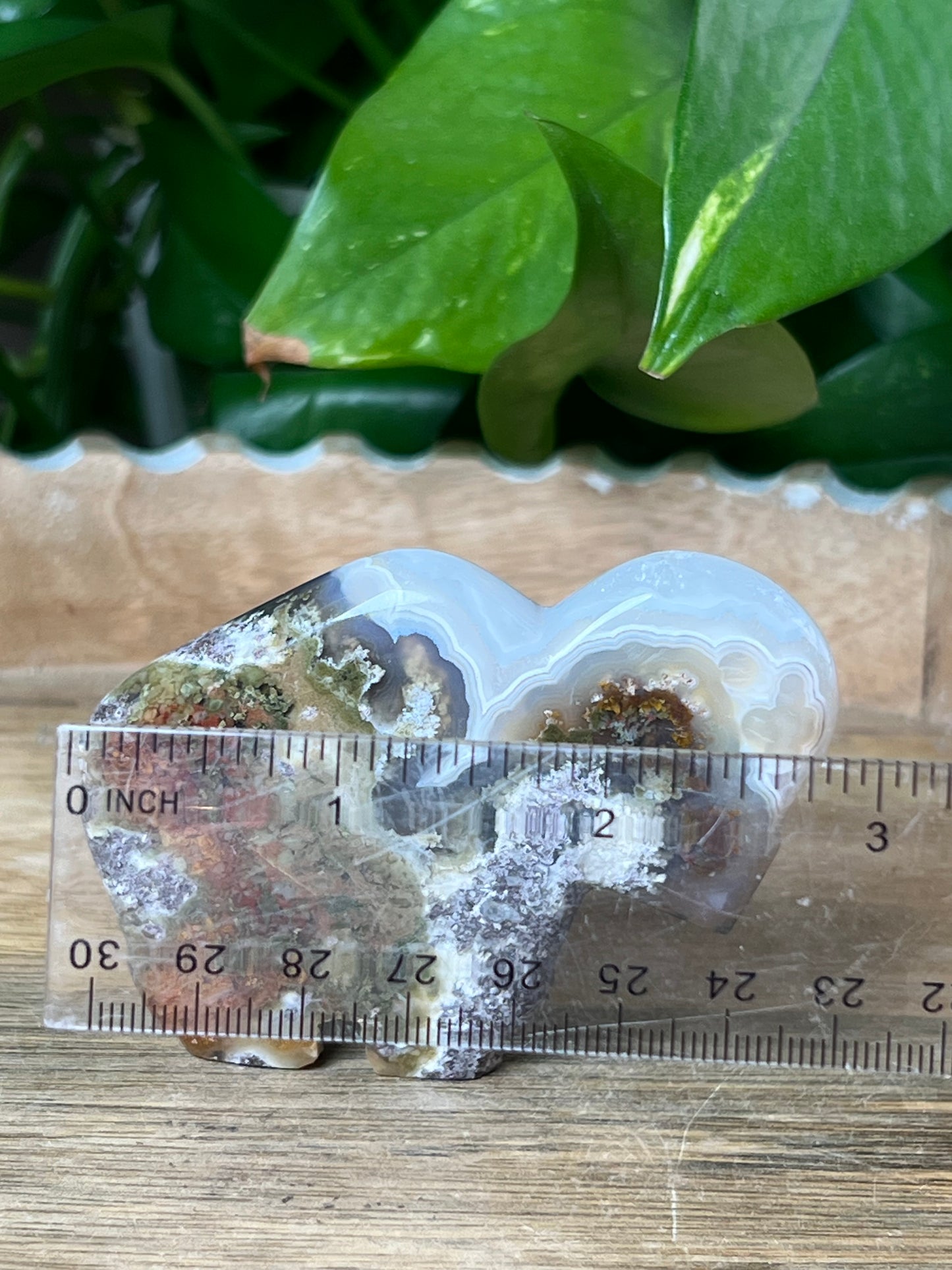 Scenic Moss Agate Buffalo