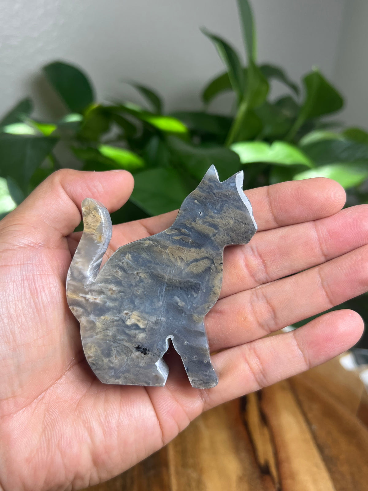 Dendritic Tiger Agate Cat: BB