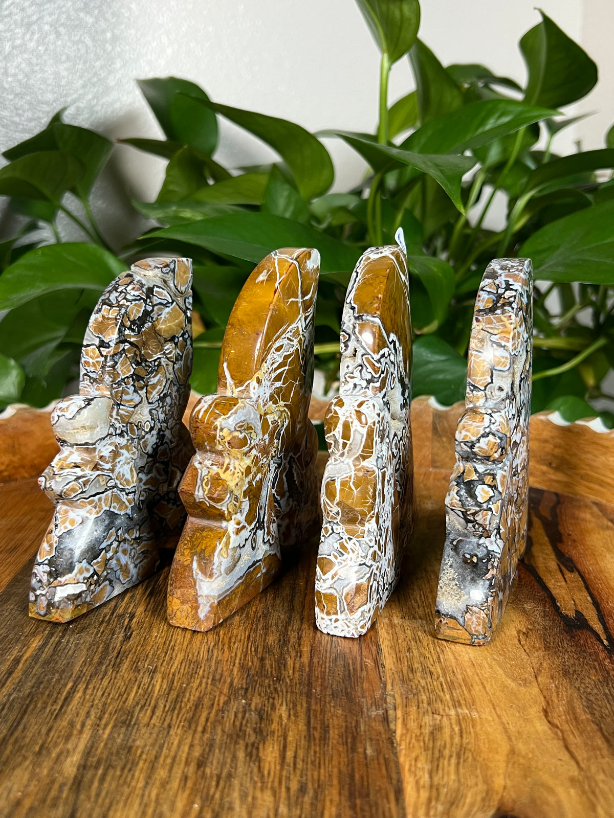Brecciated Jasper Fairies