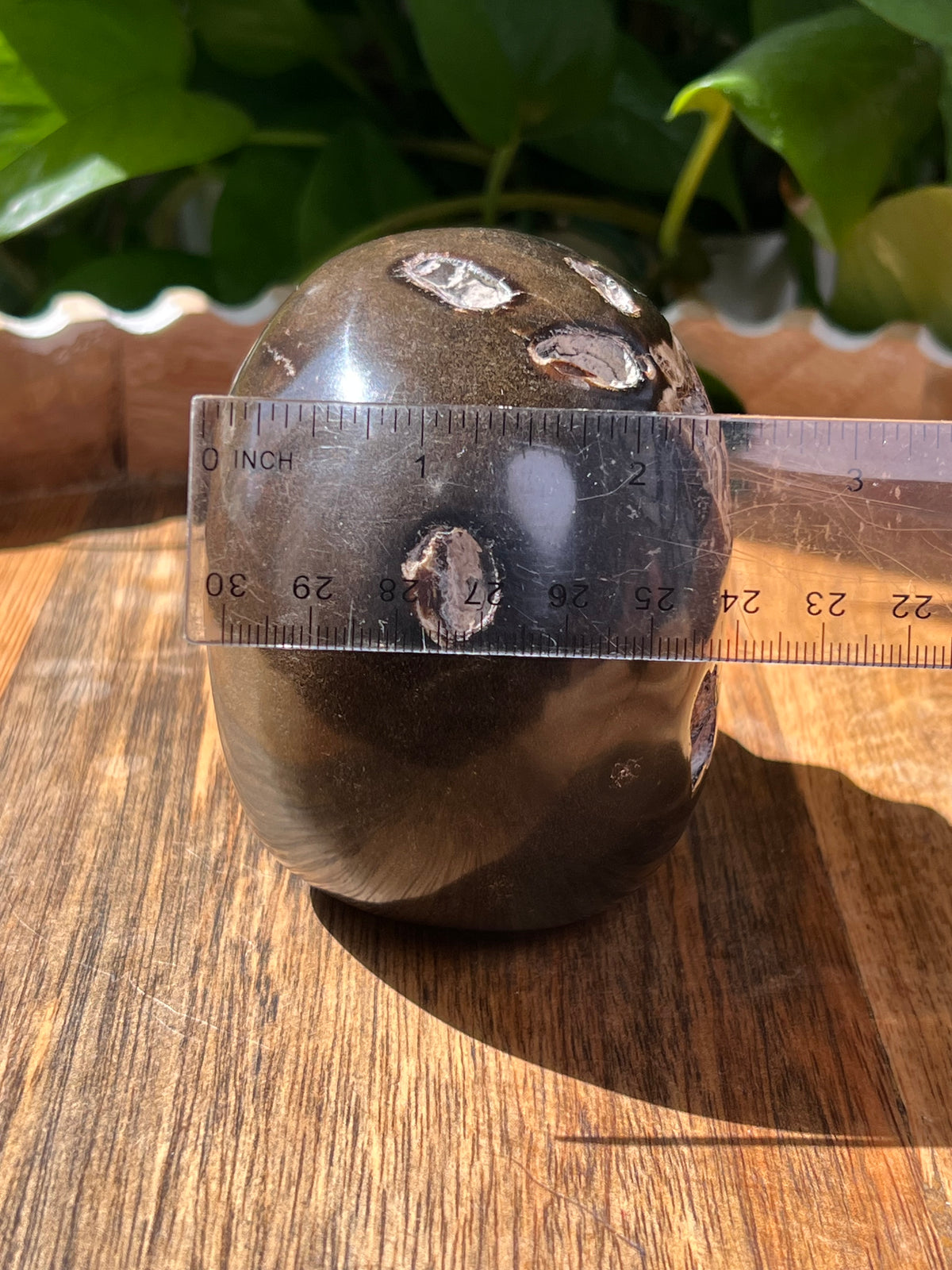 Amber Skull: NZ