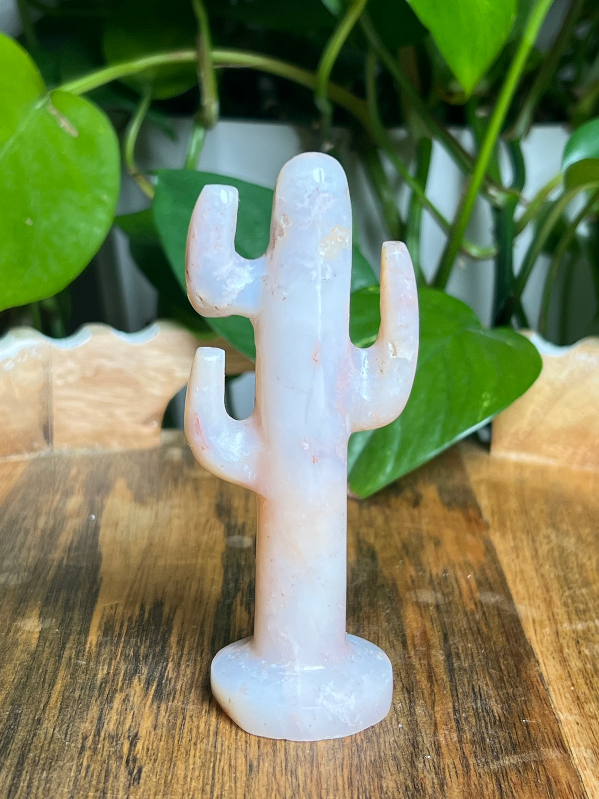 Pink Carnelian Cactus: NA