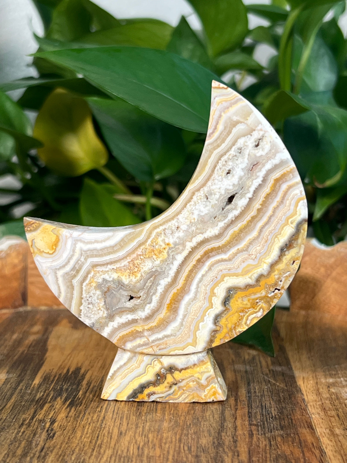Yellow Crazy Lace Agate Self Standing Moons