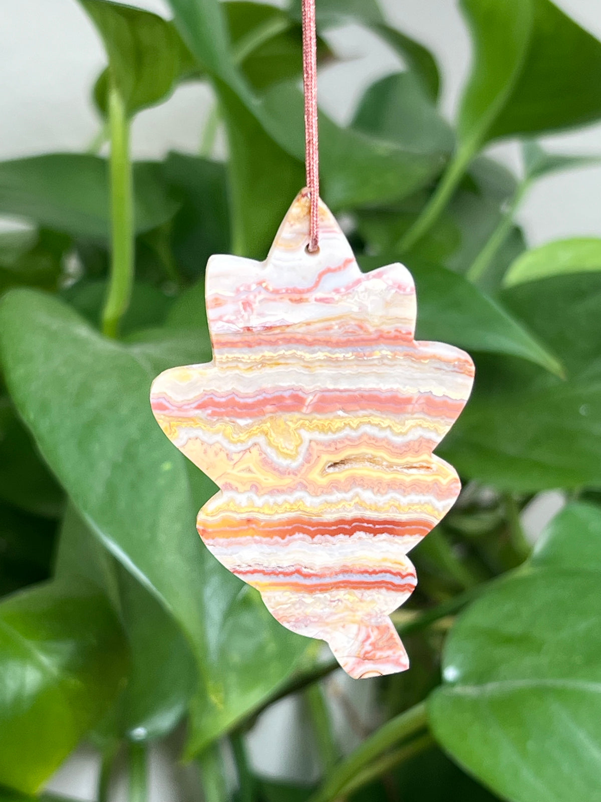 Crazy Lace Agate Ornament Leaf: AY