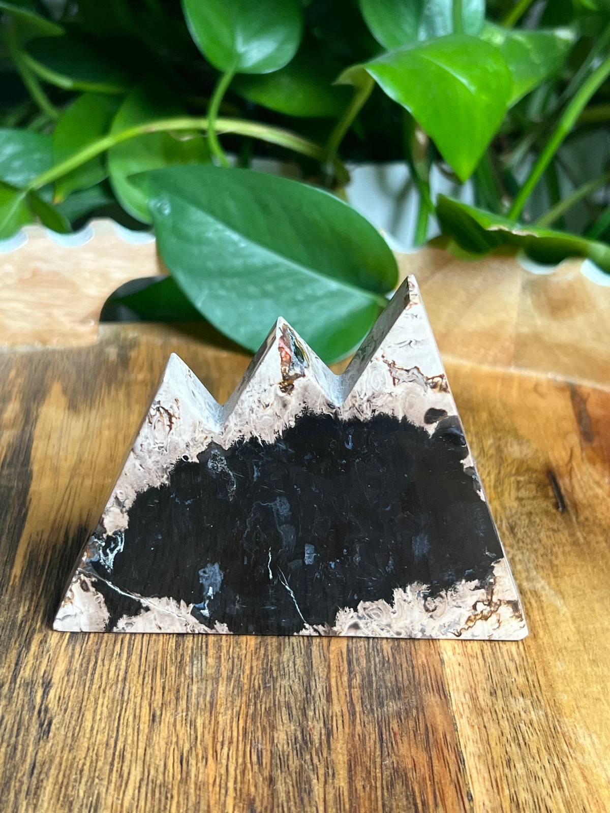 Palm Root Mountain: BN