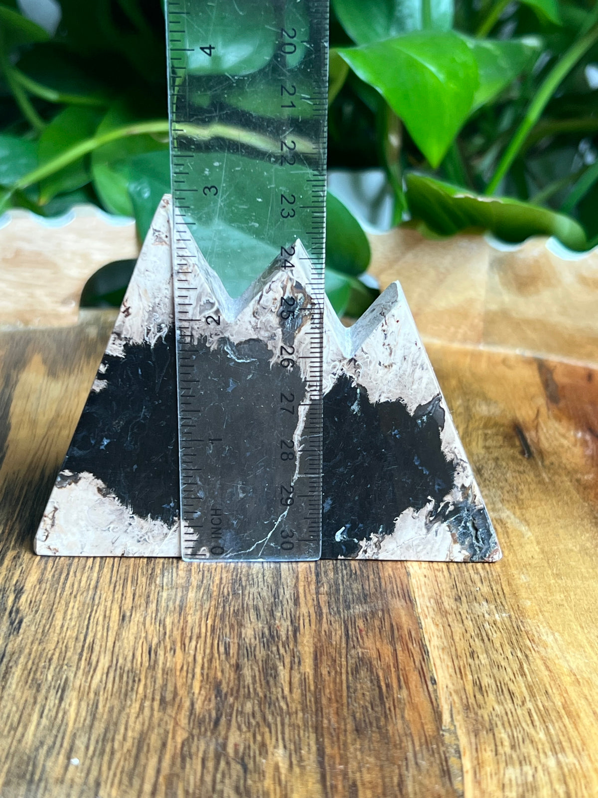 Palm Root Mountain: BN