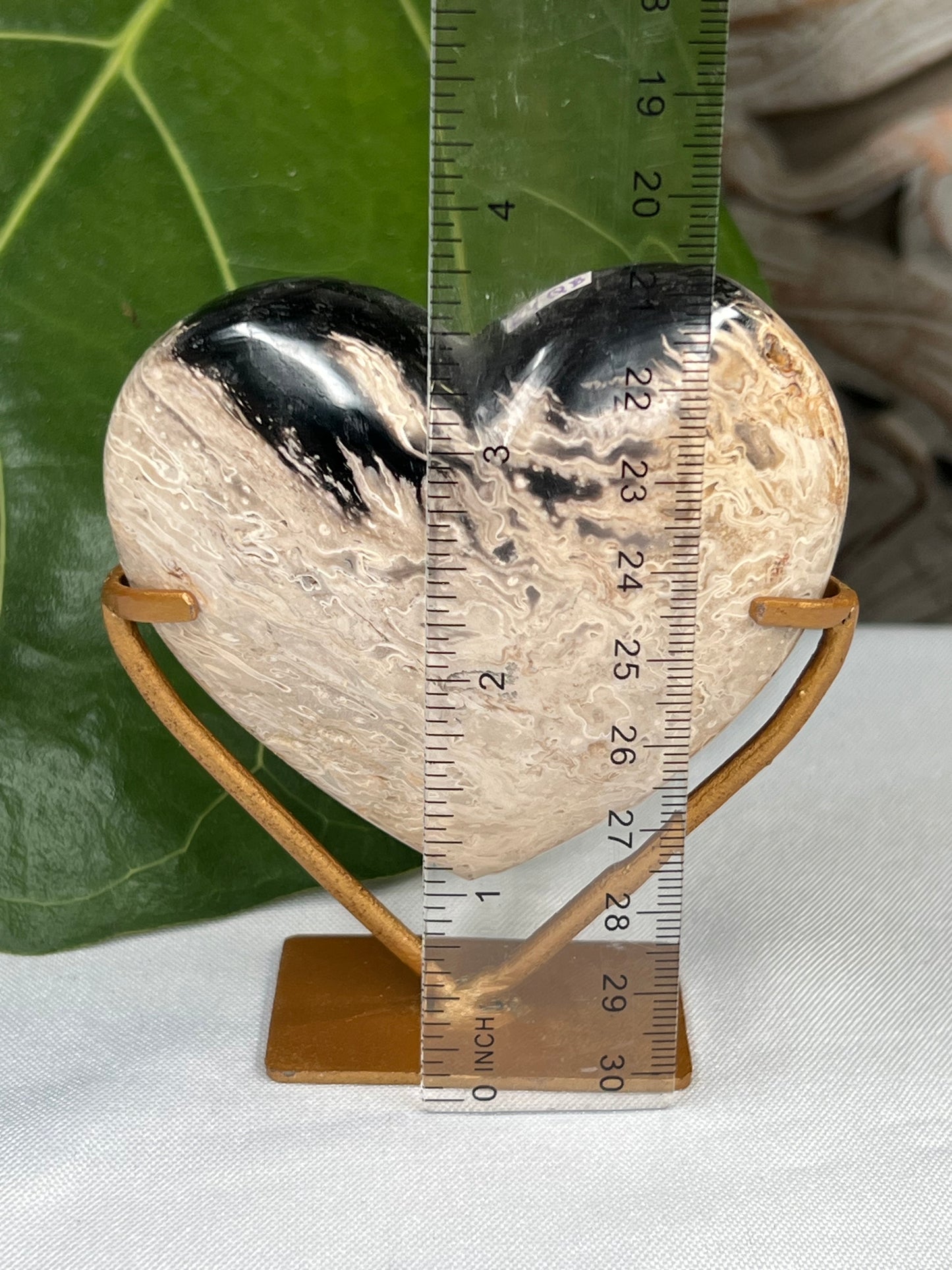 Palm Root Heart
