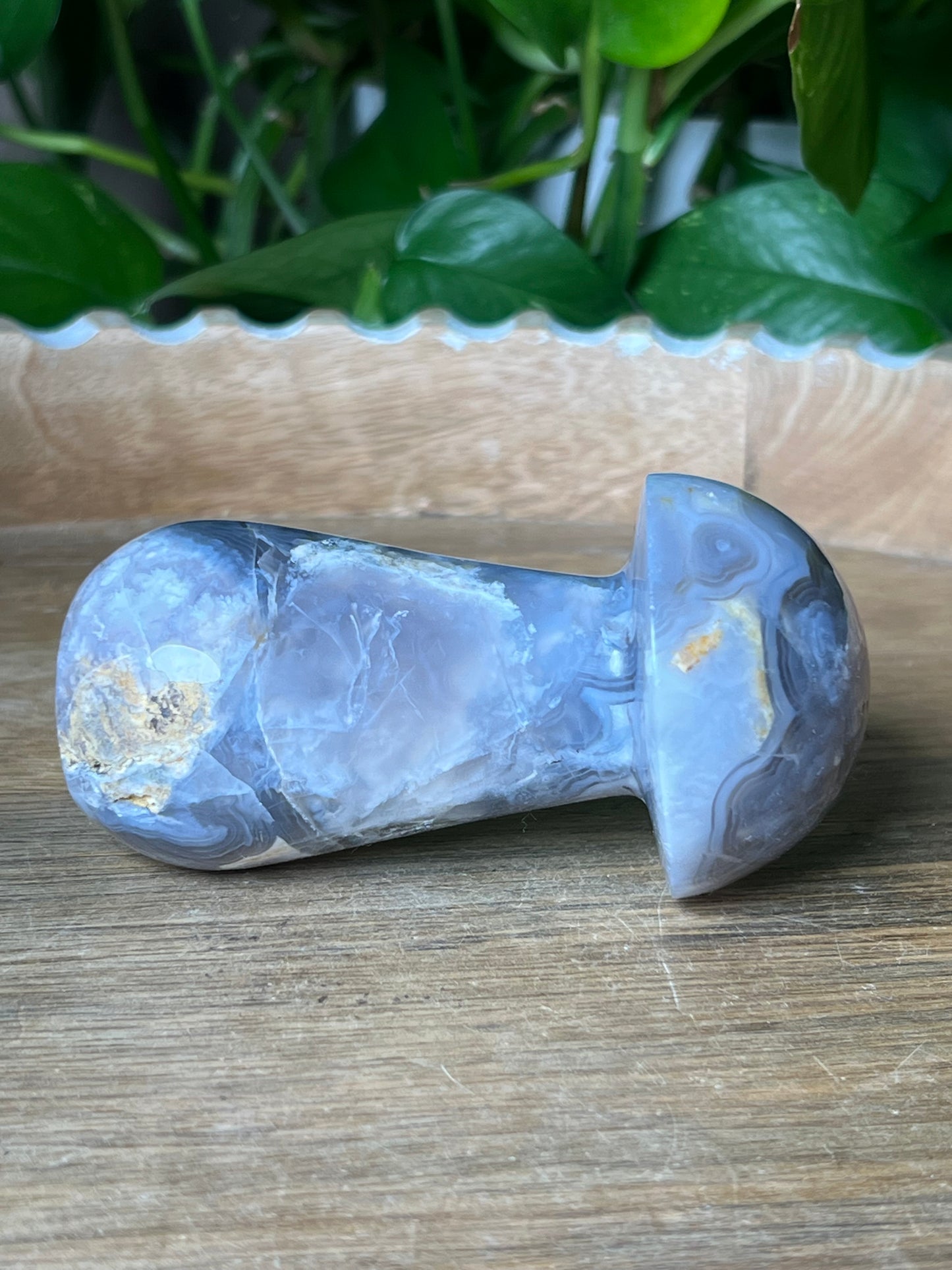 Blue Grey Lace Agate Mushroom: AB