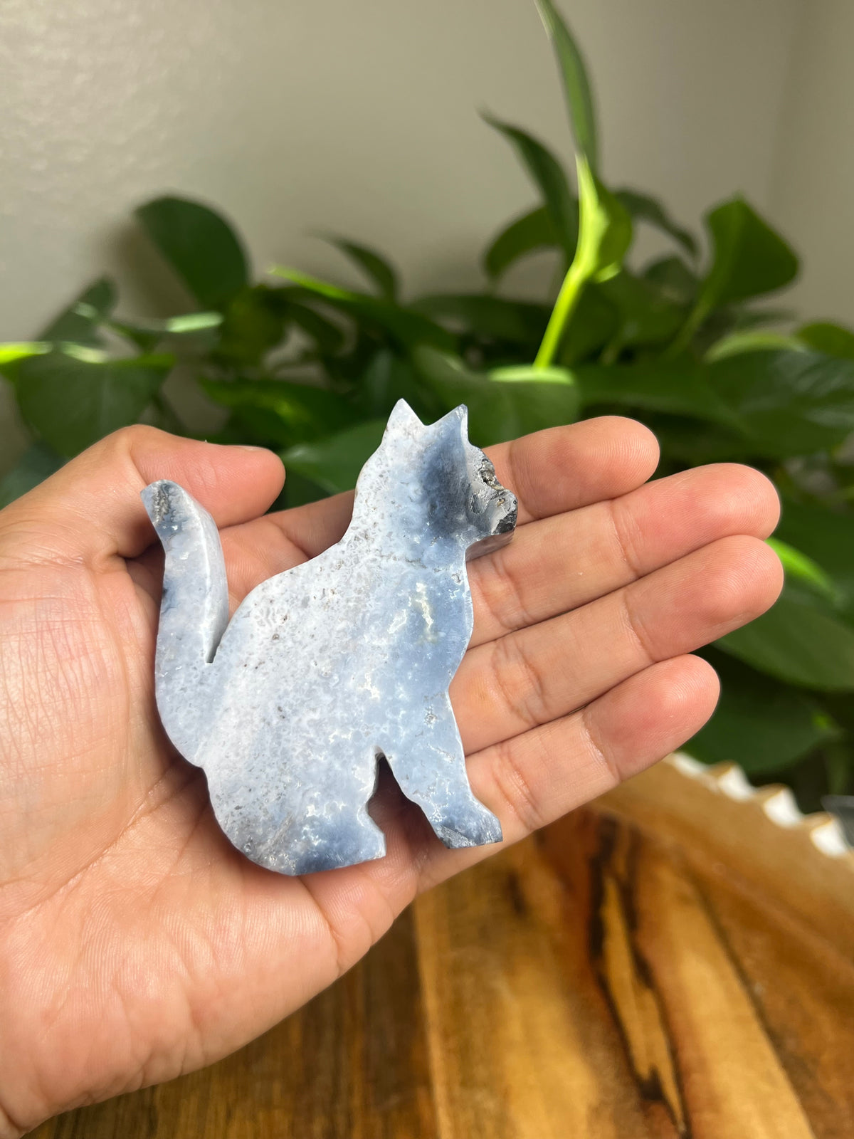 Blue Plume Agate Cat: AB