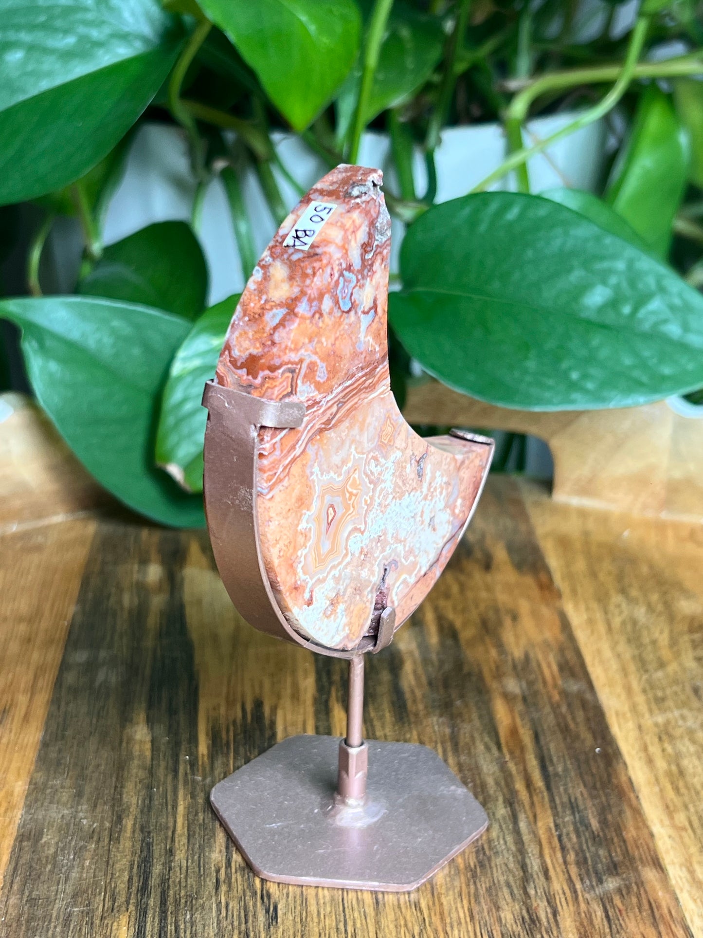 Crazy Lace Agate Moon: BA