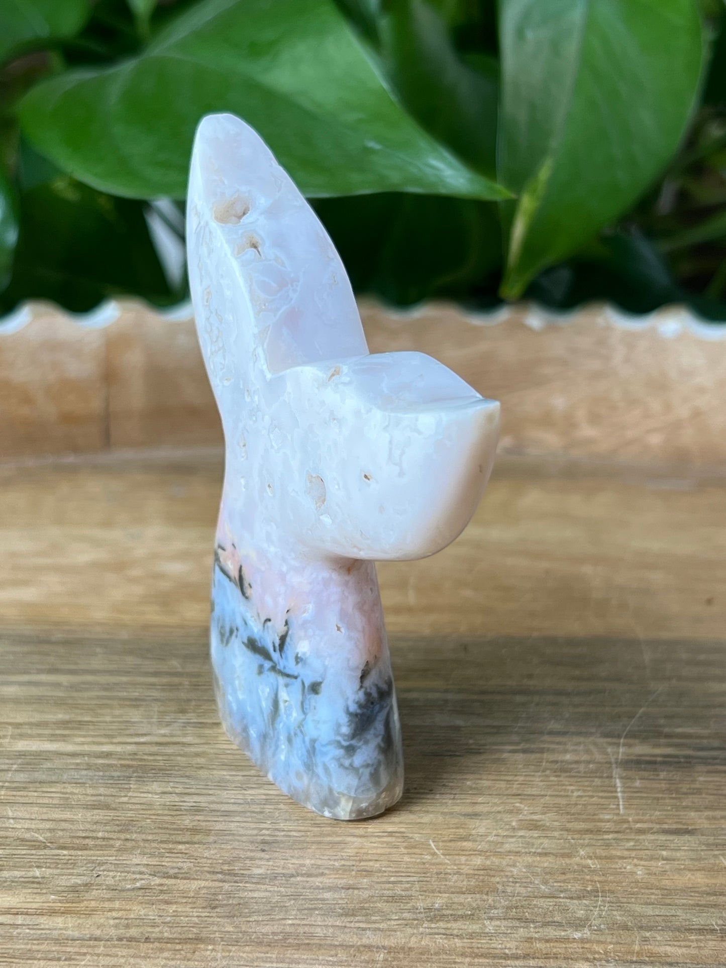 Rainbow Plume Agate Tail