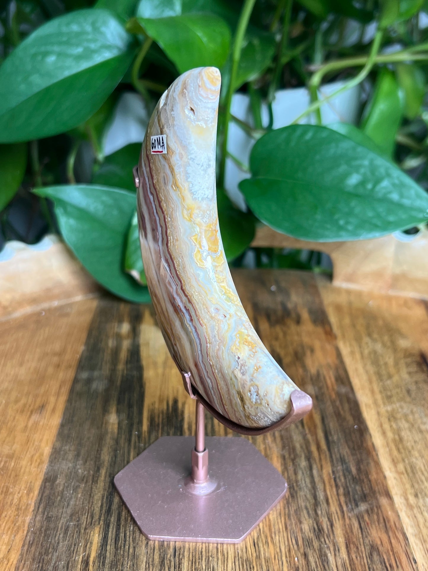 Crazy Lace Agate Moon: MA