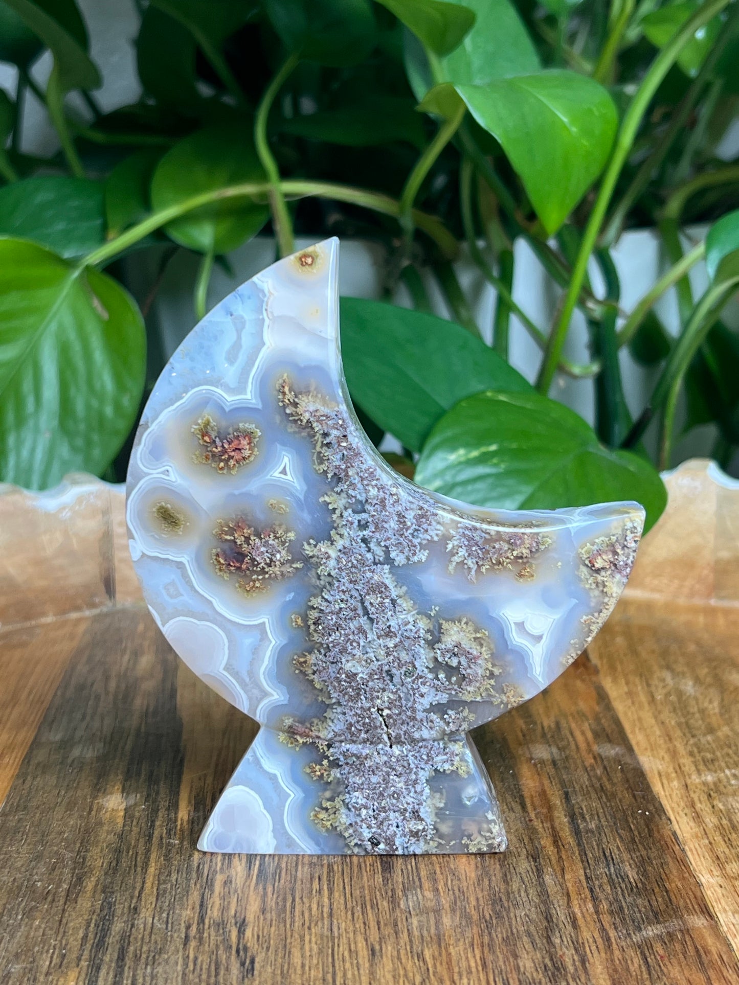Scenic Moss Agate Self-Standing Moon: PN