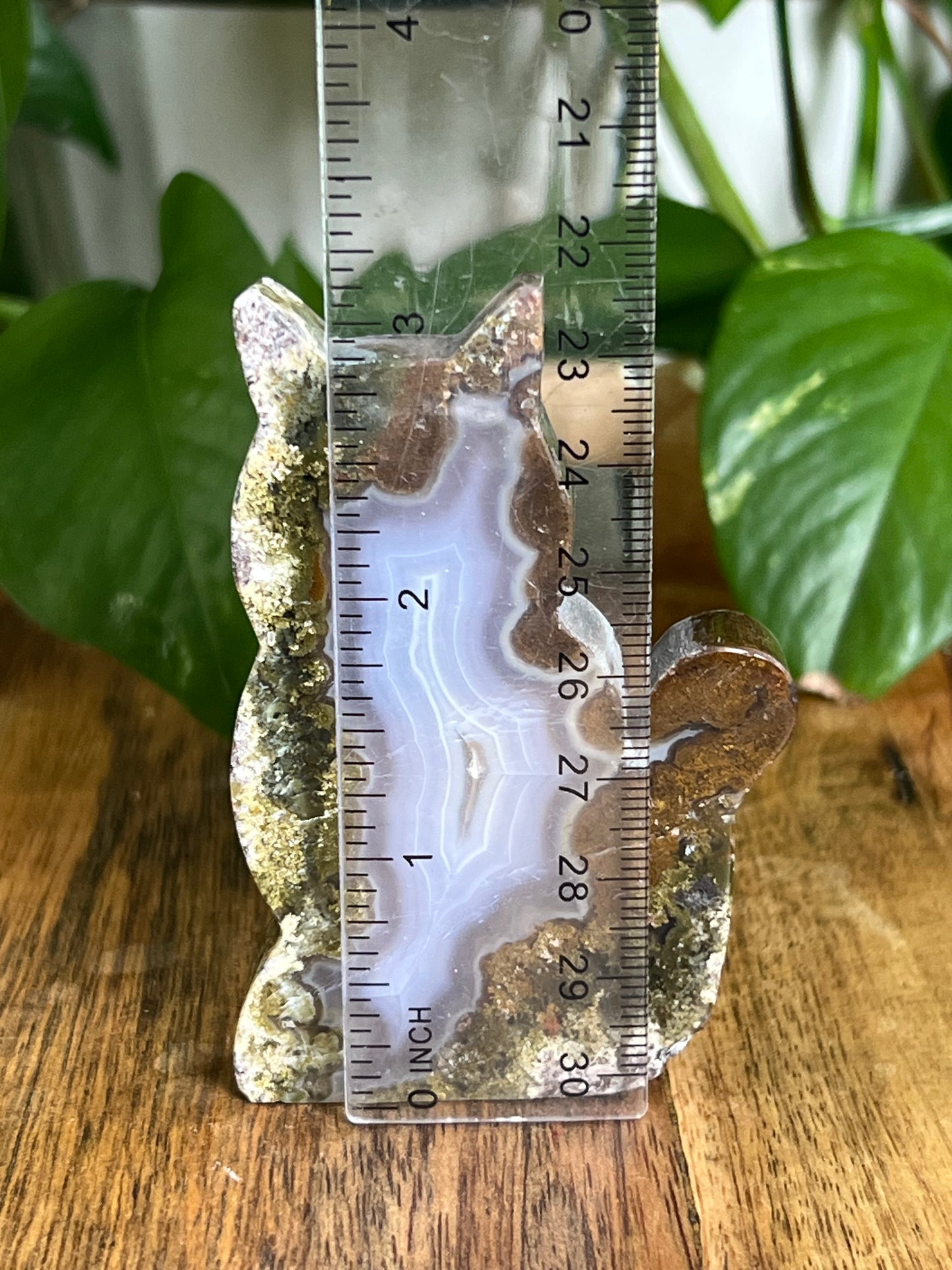 Scenic Moss Agate Cat HK
