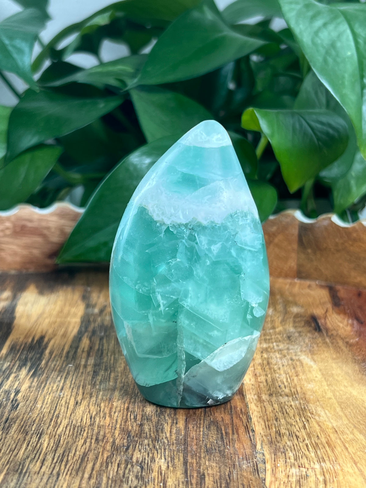 Mexican Flourite Freeform: AE