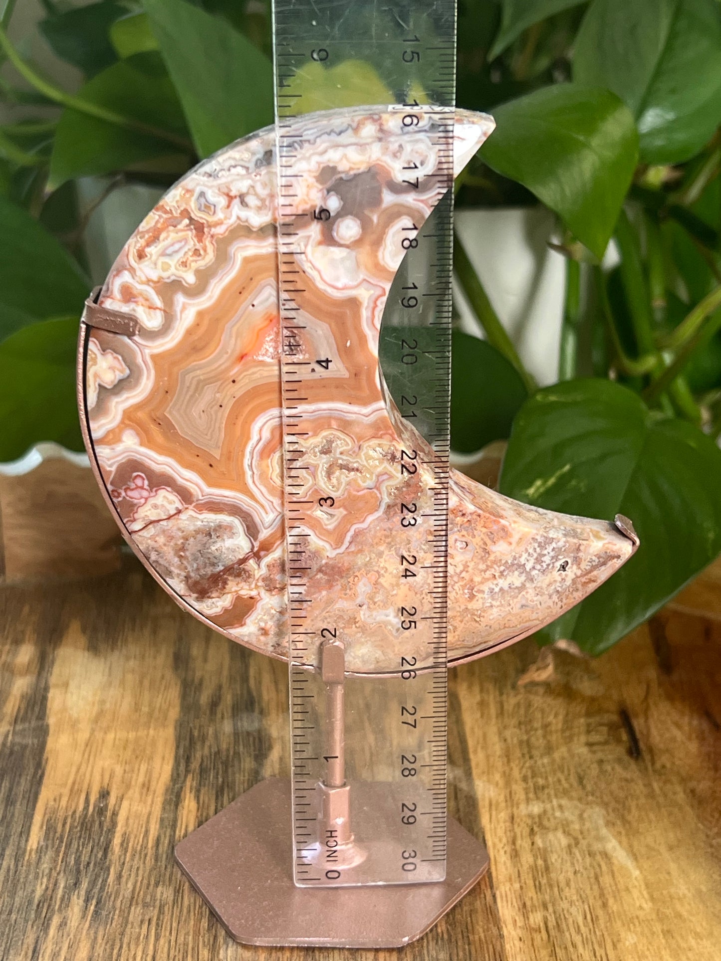 Crazy Lace Agate Moon PA