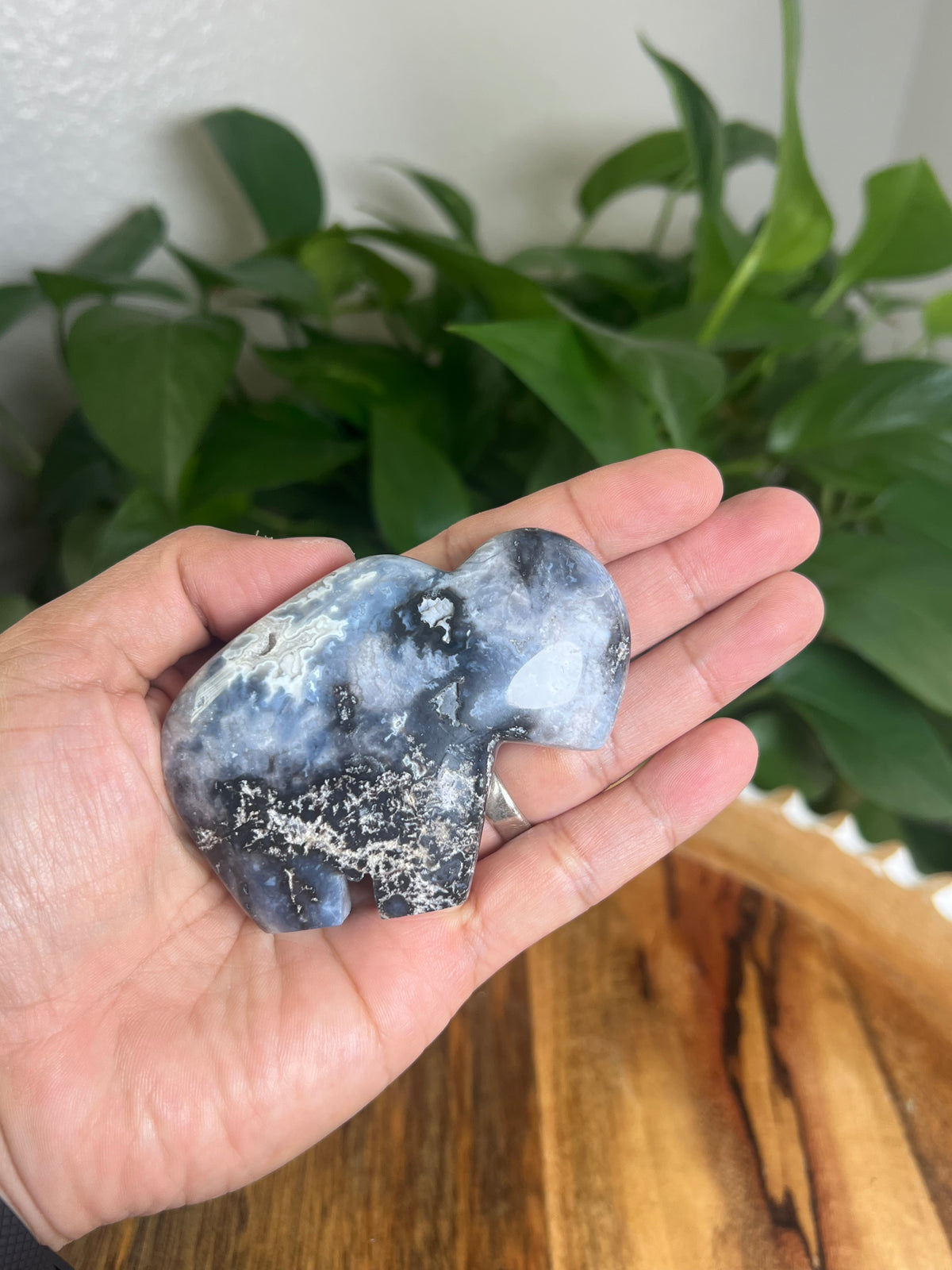Blue Plume Agate Buffalo: BA