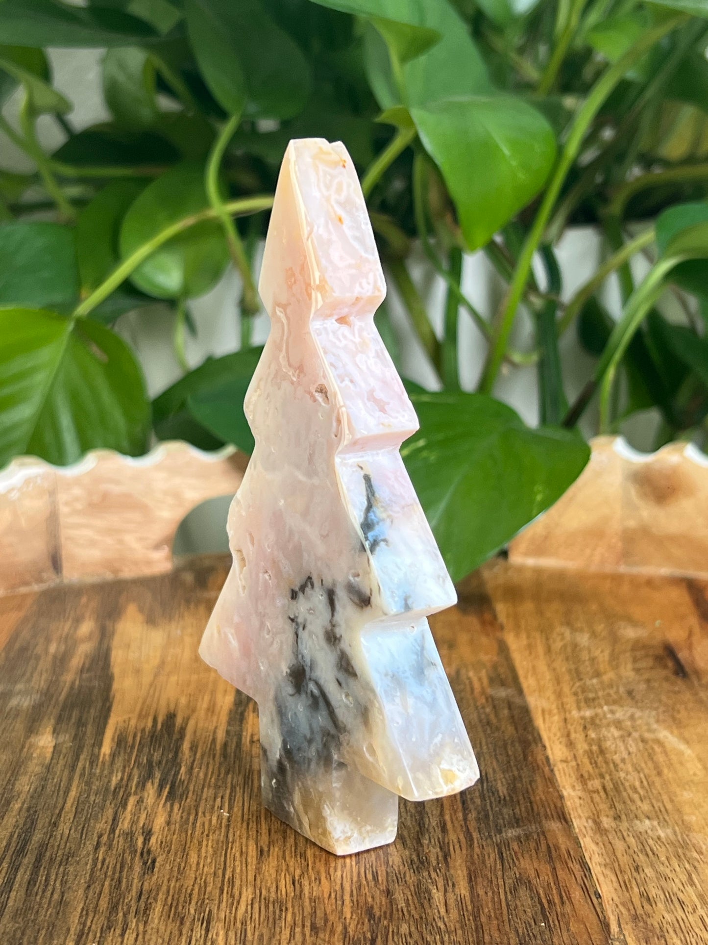 Rainbow Plume Agate Tree: DC