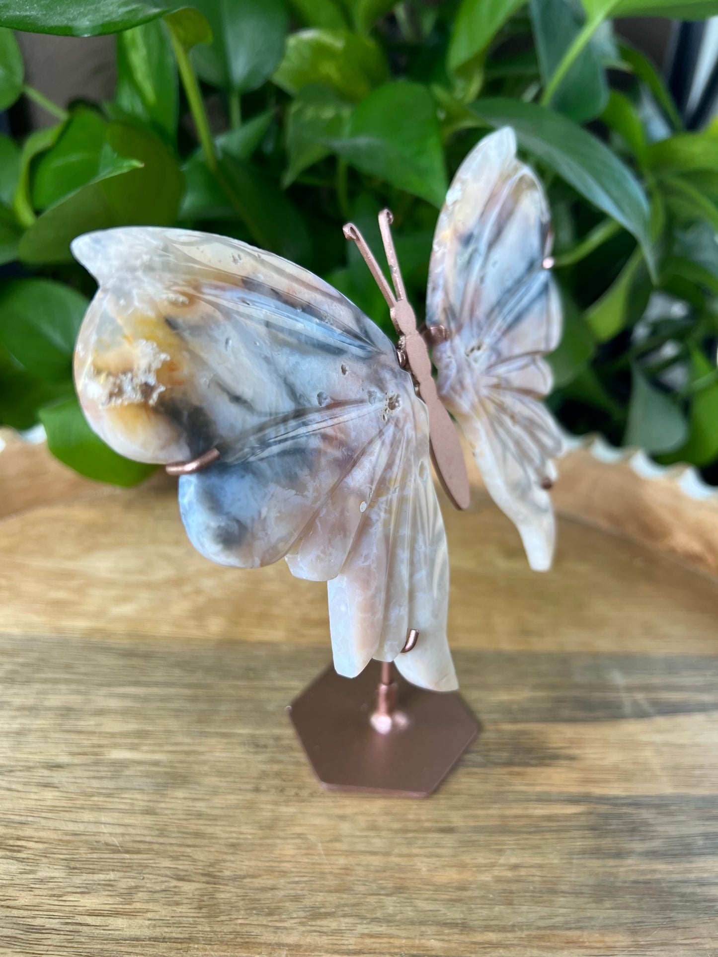 Rainbow Plume Agate Wings