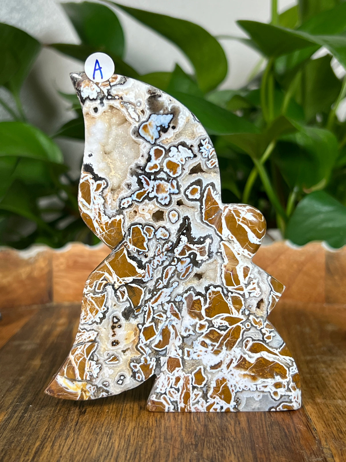 Brecciated Jasper Fairies