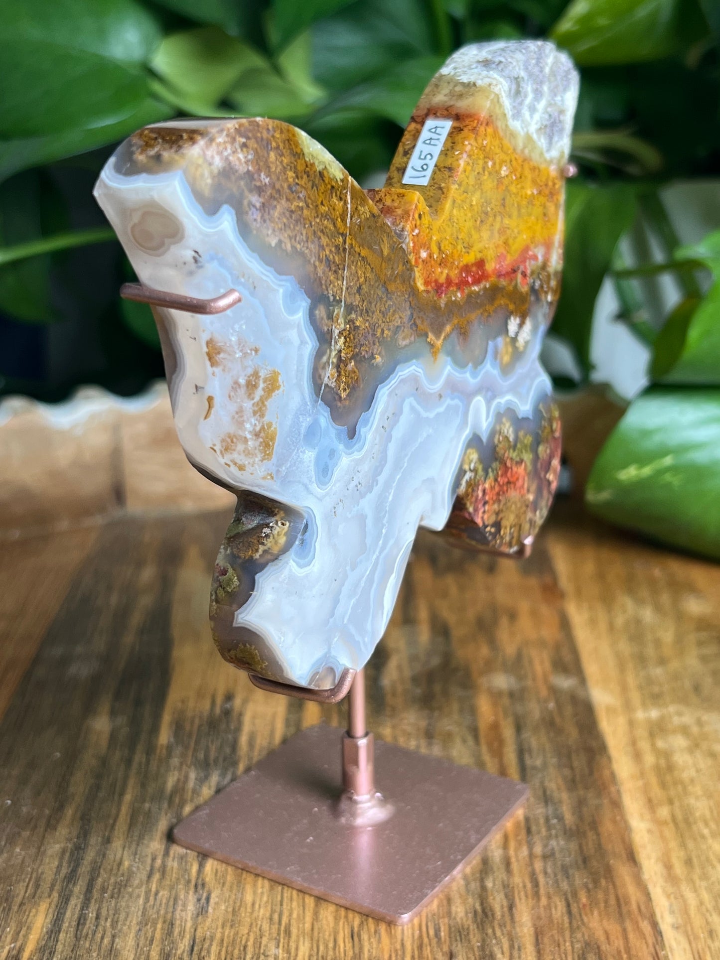 Scenic Moss Agate Butterfly