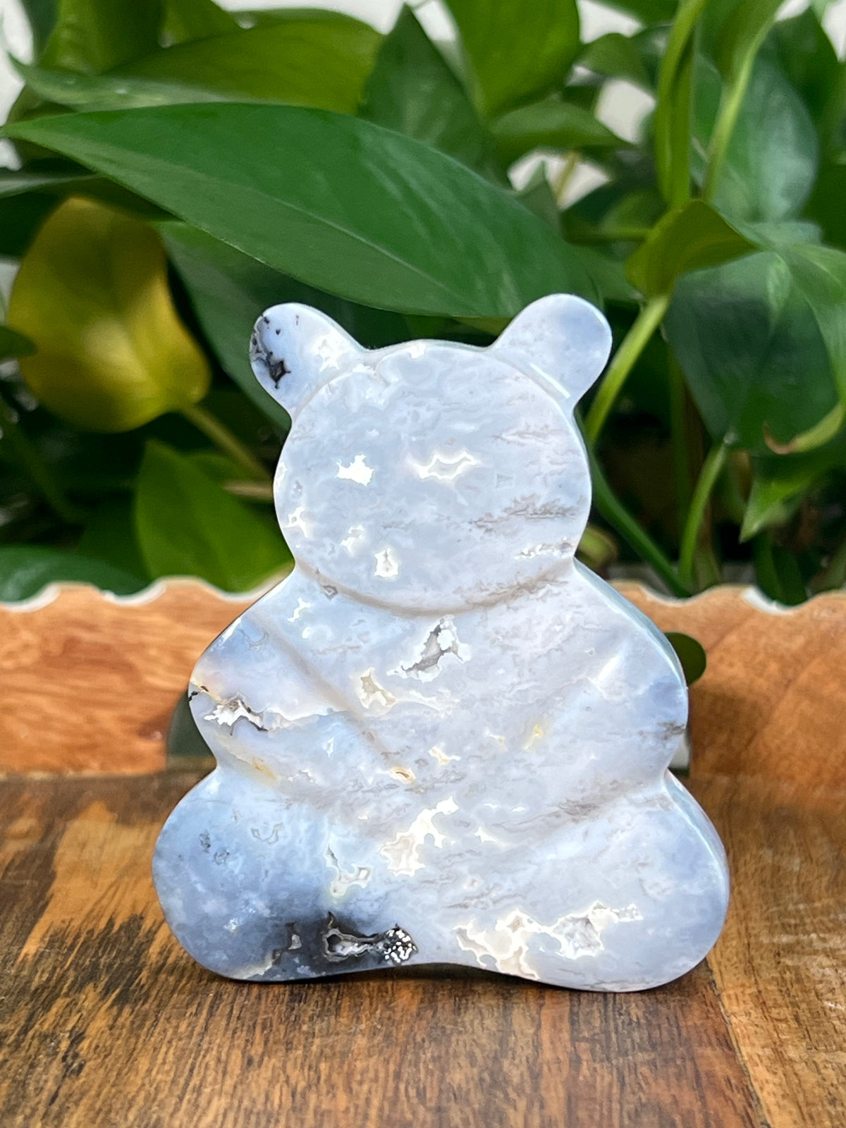 Blue Plume Agate Bears