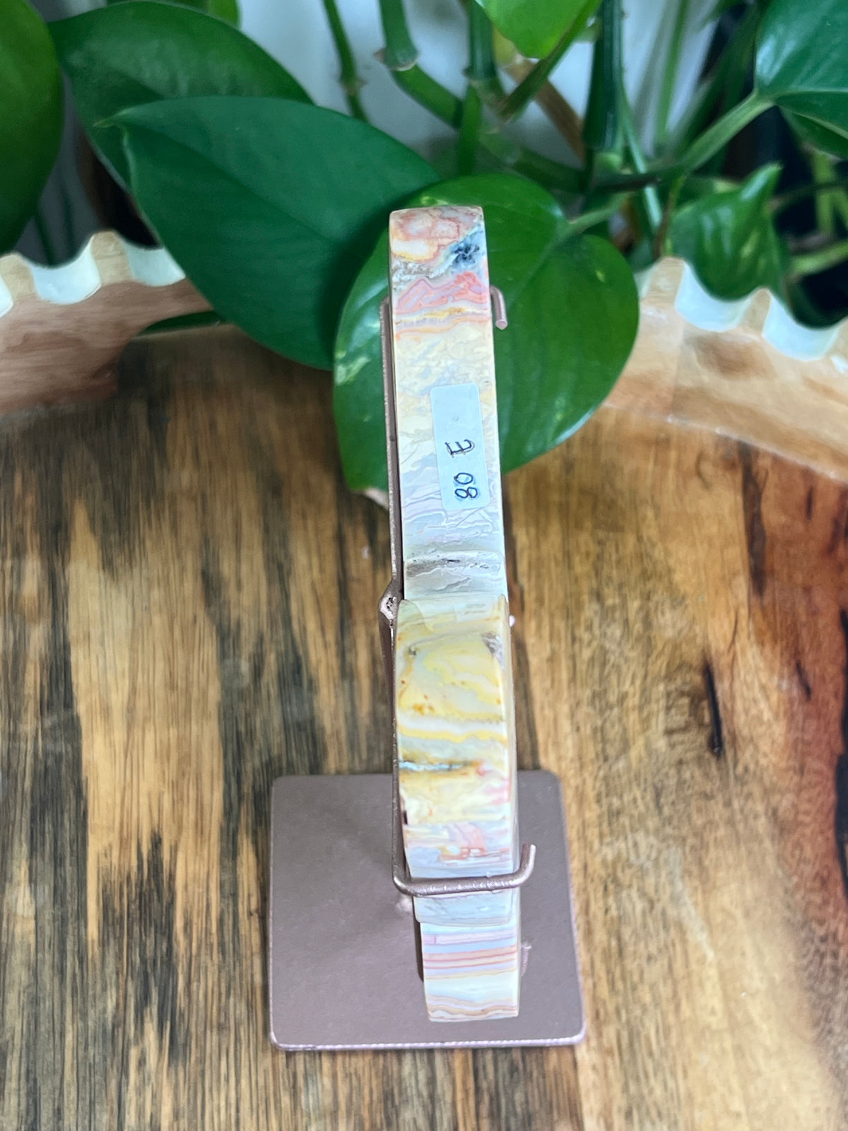 Crazy Lace Agate Butterfly: E