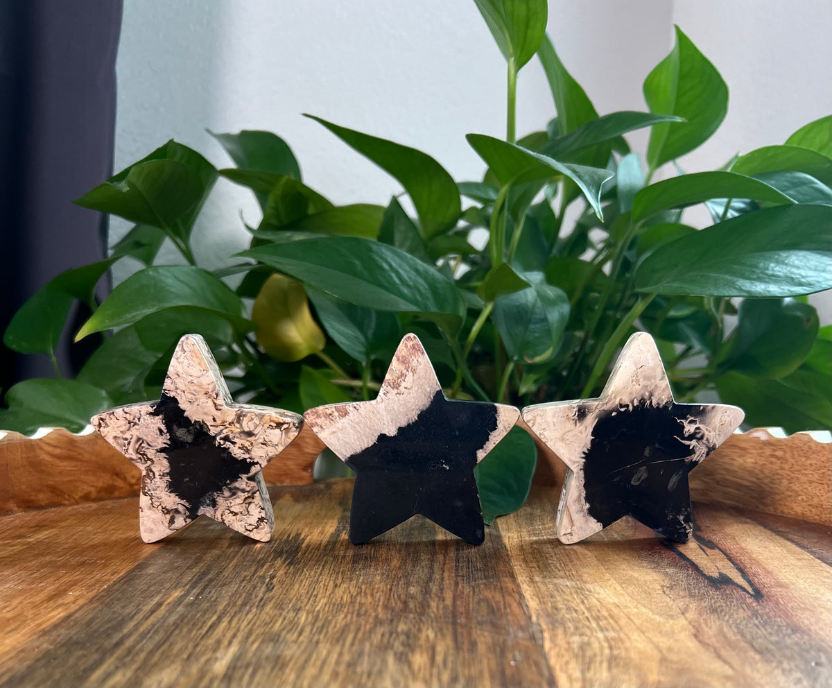 Palm Root Small Self Standing Stars