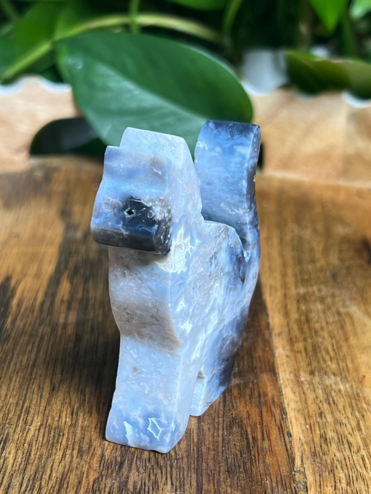 Blue Plume Agate Cat: LD