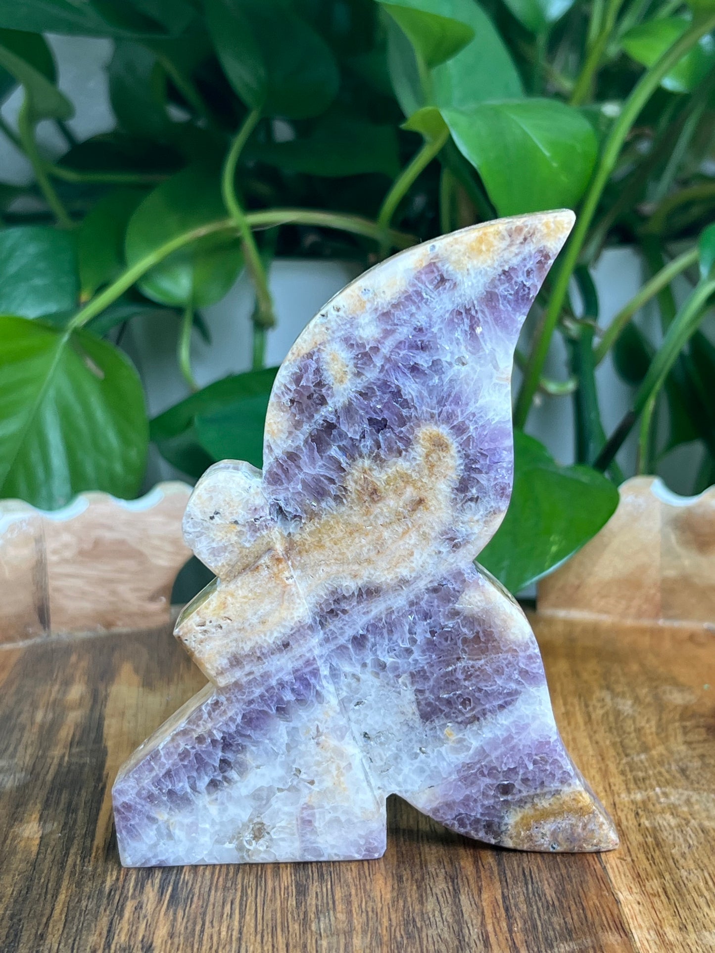 Indonesian Amethyst Fairy: SA