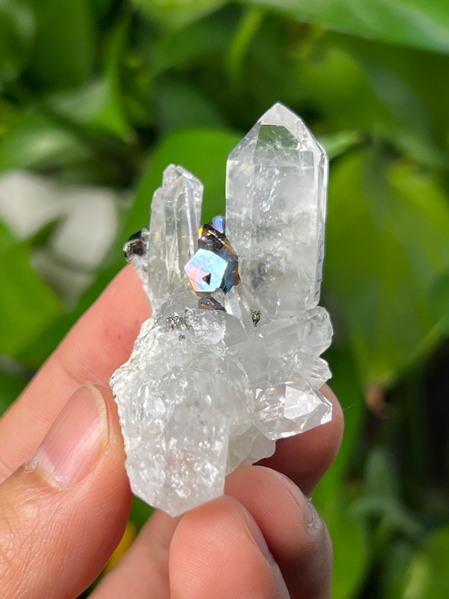Rainbow Pyrite Quartz