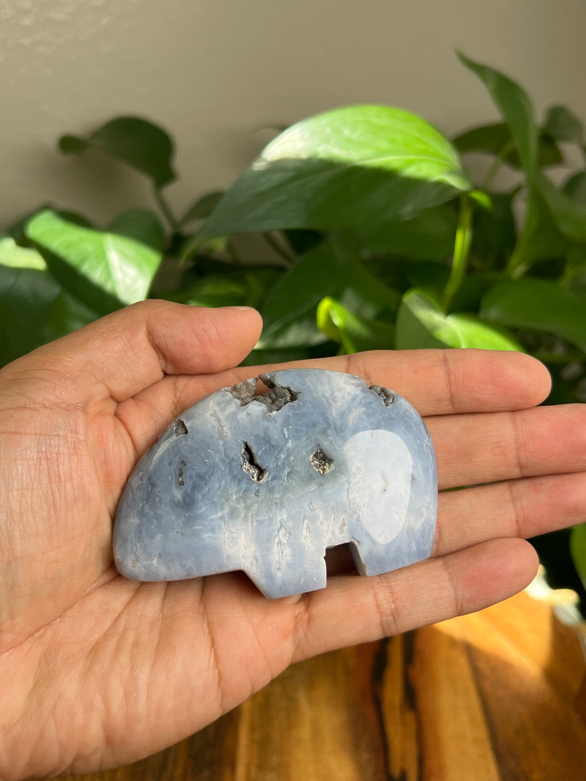 Blue Plume Agate Bear: DK