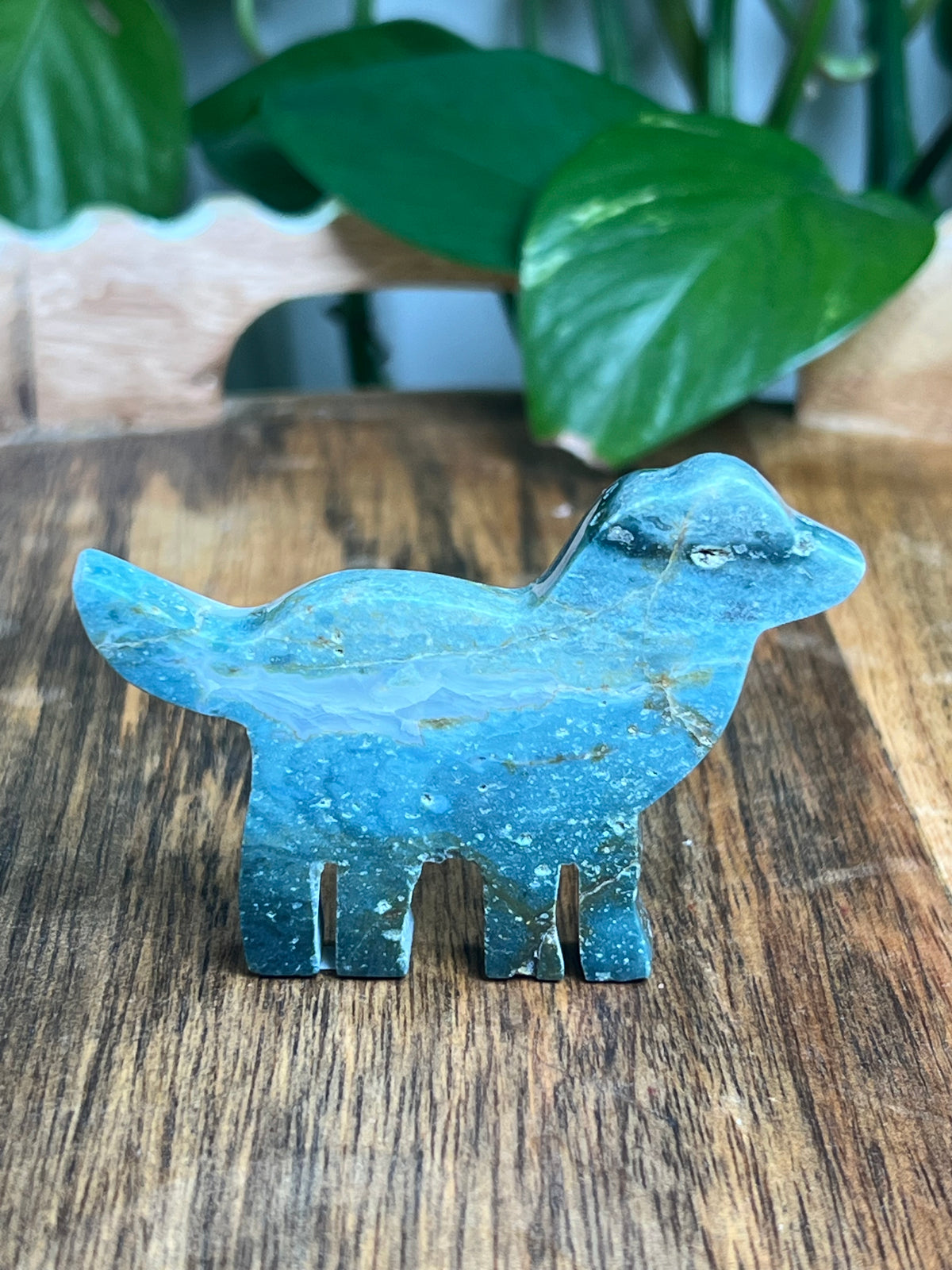 Blue Green Jasper Dog: BA