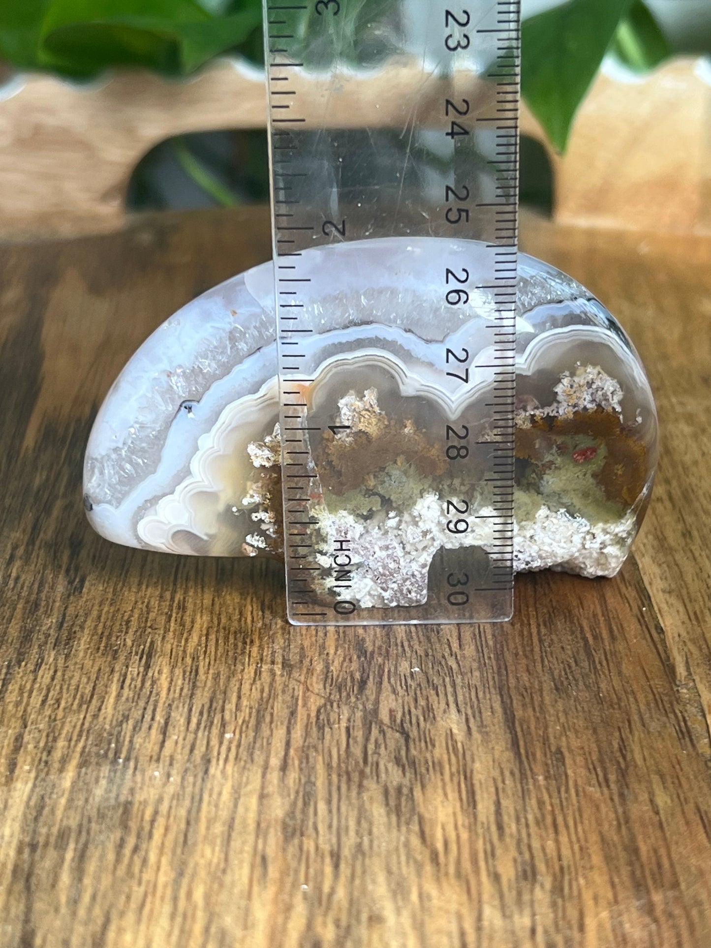 Scenic Moss Agate Bear BG