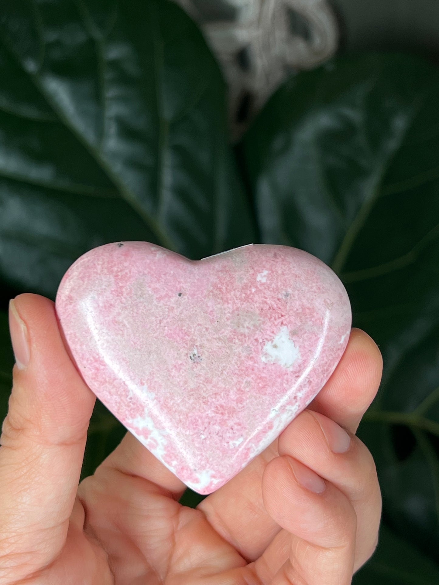 Rhodonite