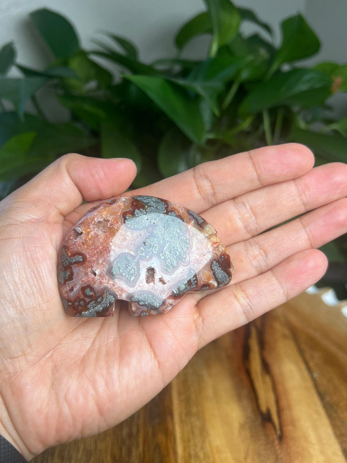 Marcasite Bear: PD