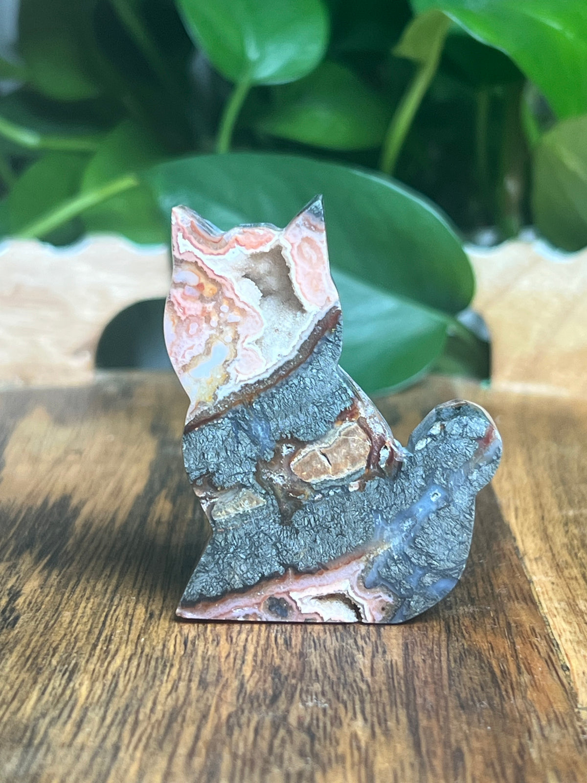 Marcasite Mini Cat: Xi