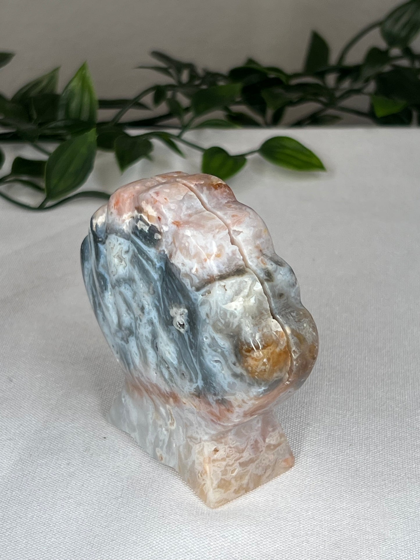 Rainbow Plume Agate Shell