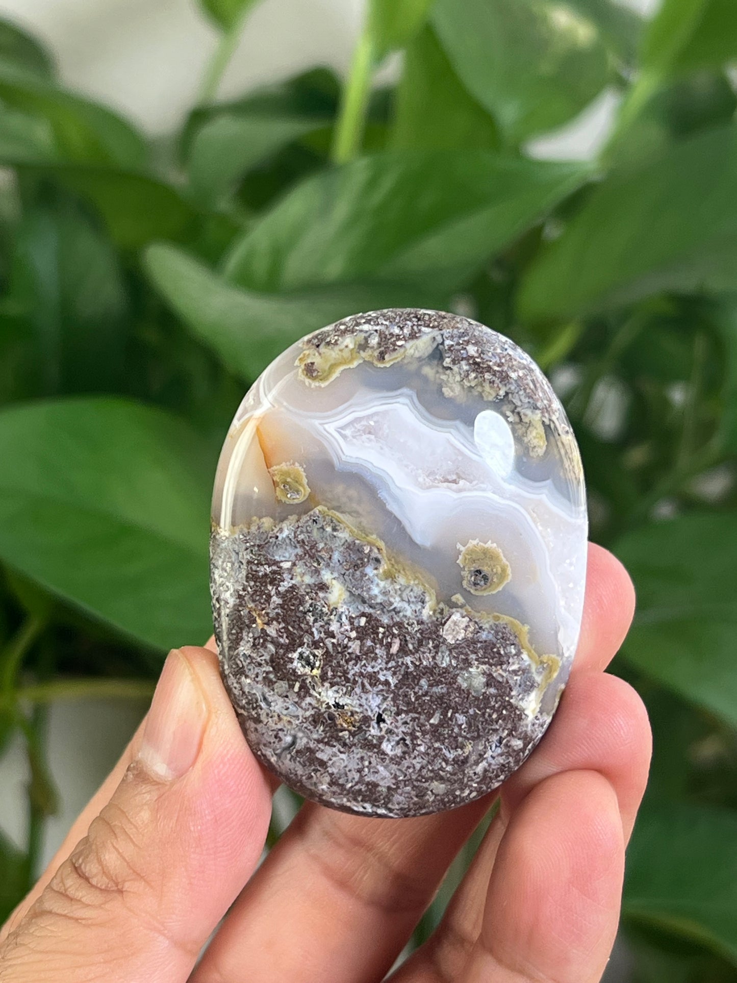 Scenic Moss Agate Palmstone: BB