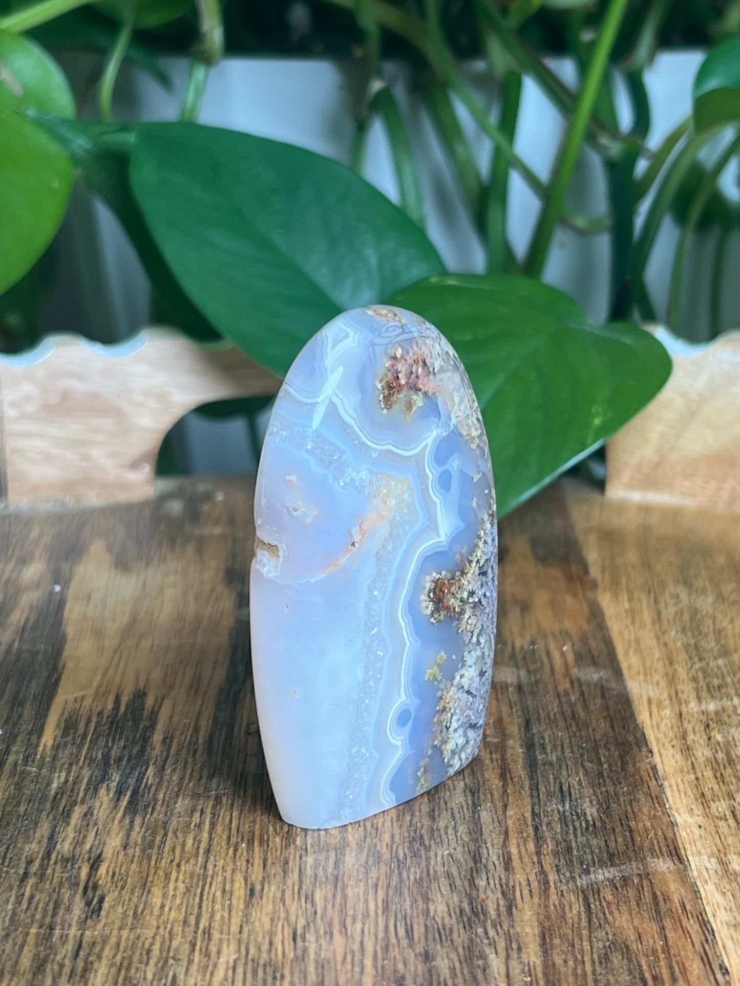 Scenic Moss Agate Mini Freeform: QX