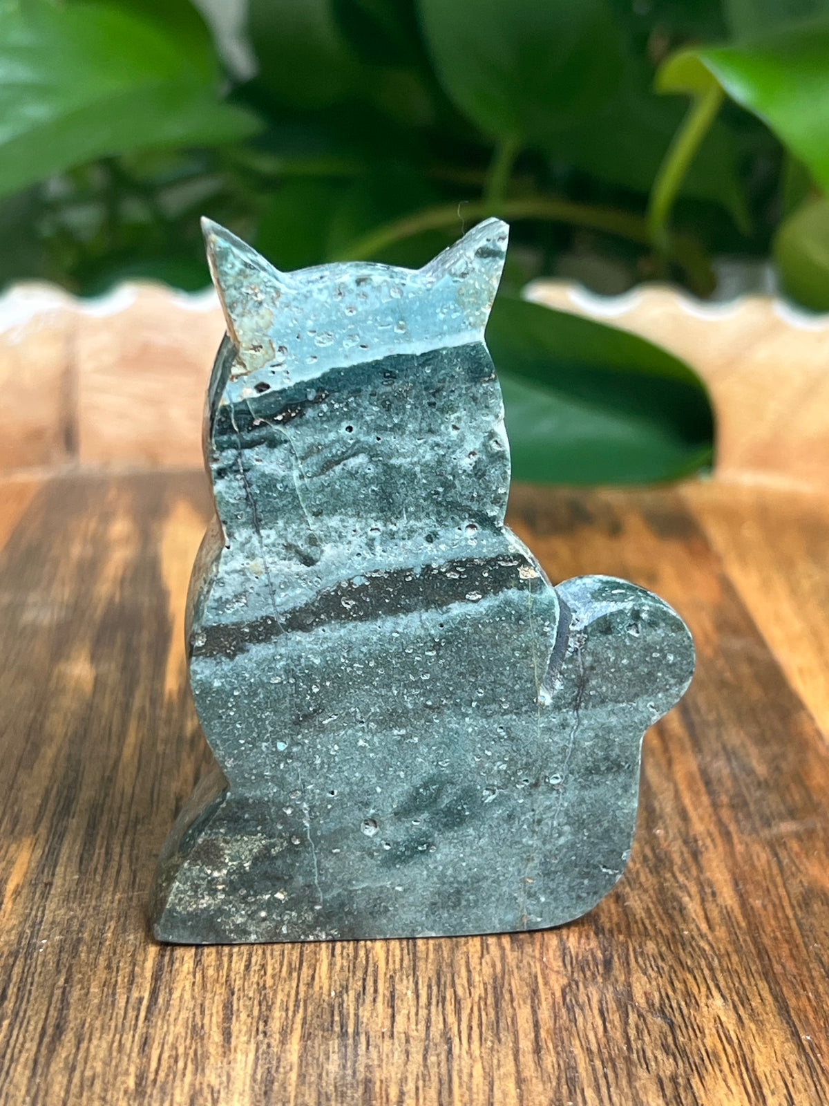Blue Green Jasper Cat: HB