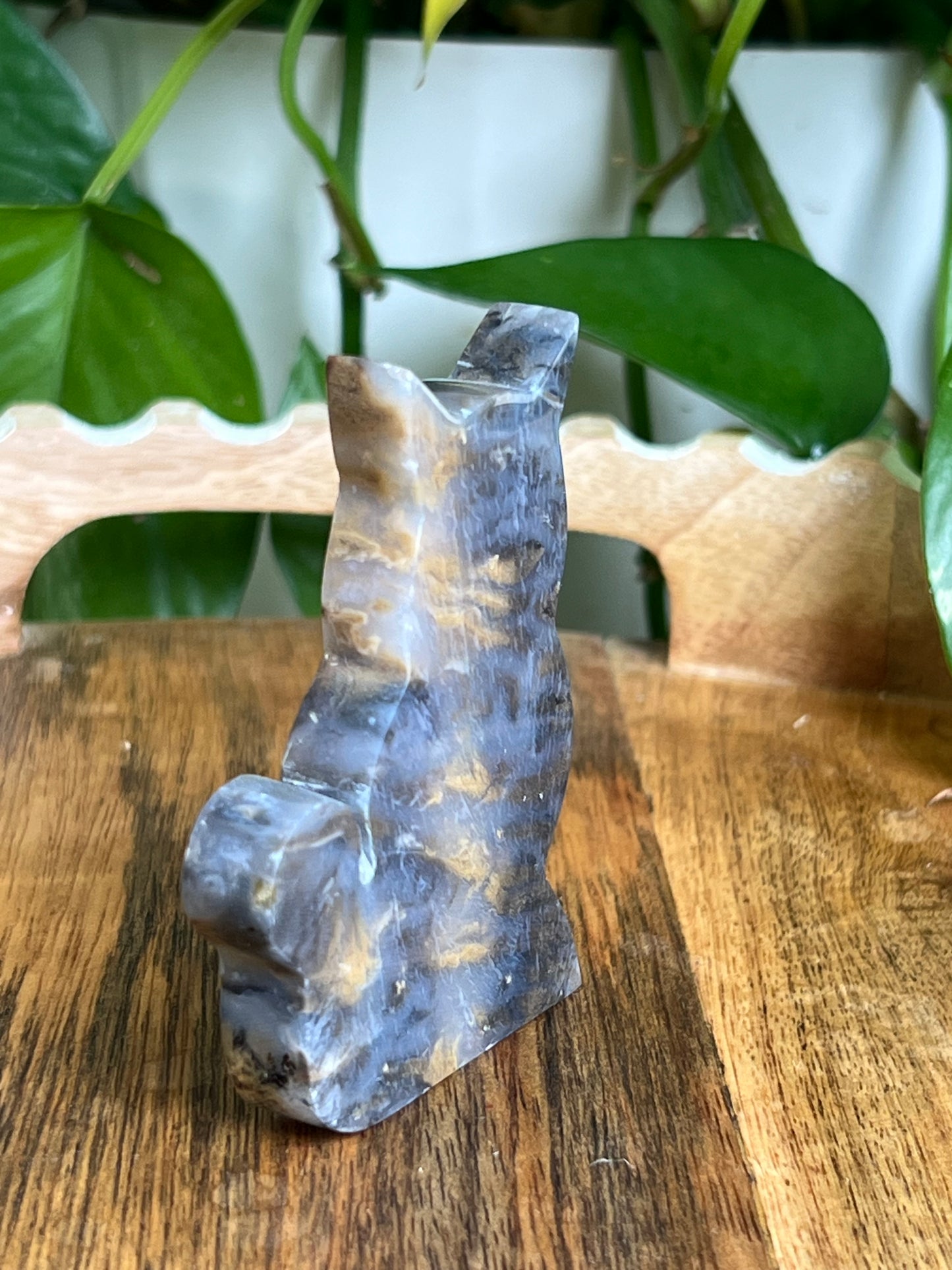 Dendritic Tiger Agate Cat AY