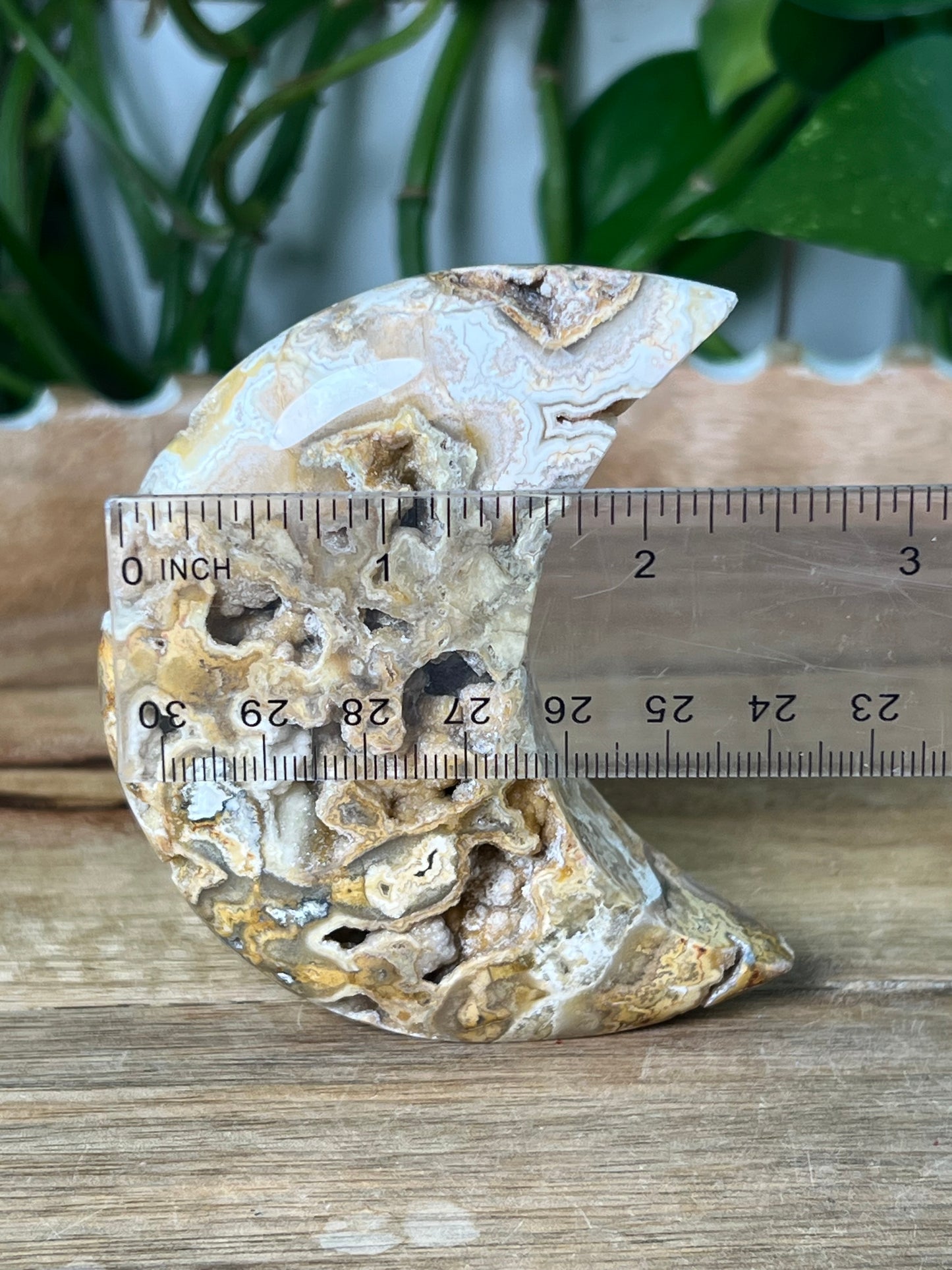 Crazy Lace Agate Moon