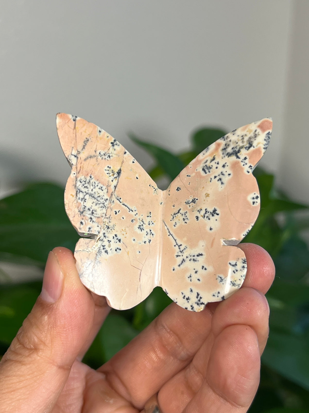 Peachy Pink Dendritic Jasper 3D Butterflies