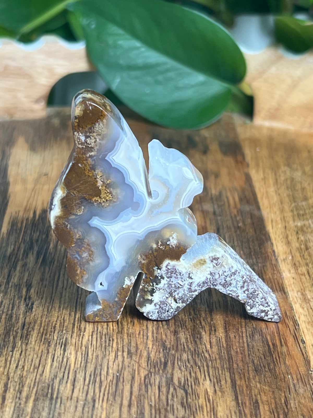 Scenic Moss Agate Pixie Fairy: M