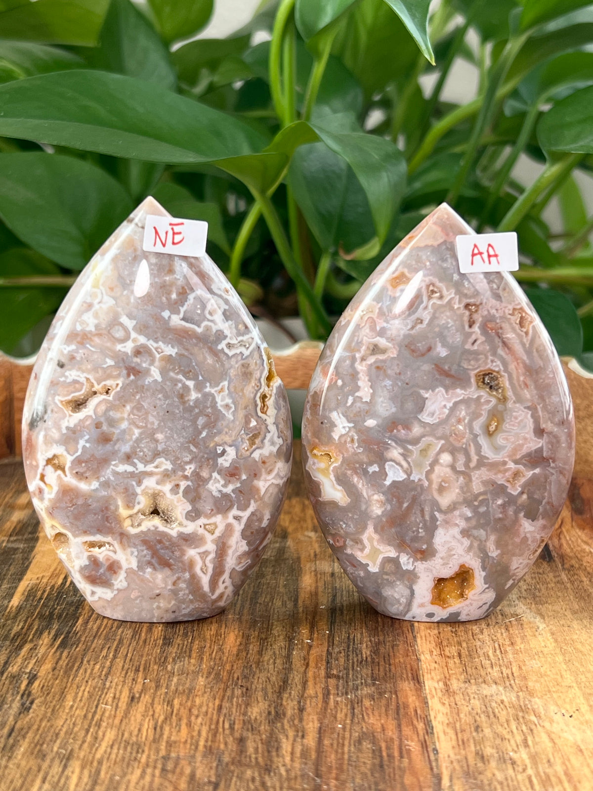 Sumatra Plume Agate Flames