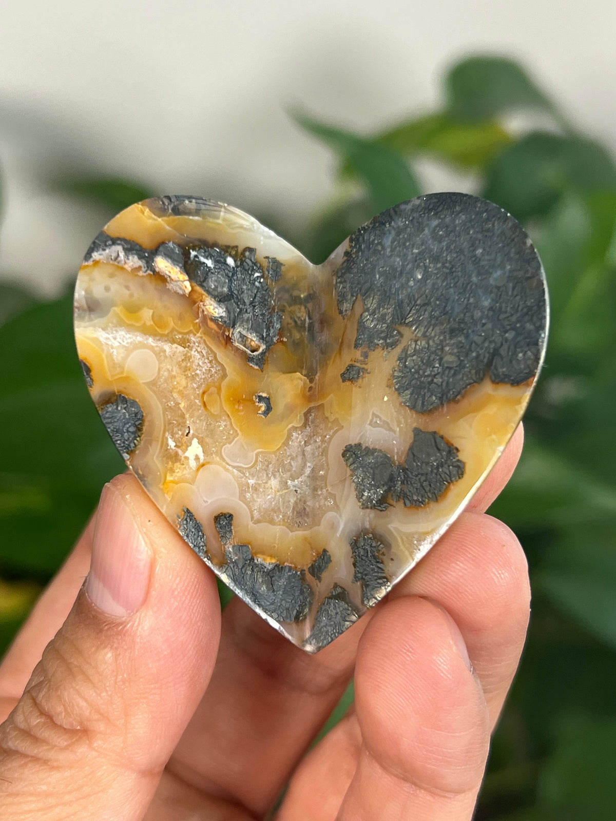 Marcasite 3D Heart Butterflies