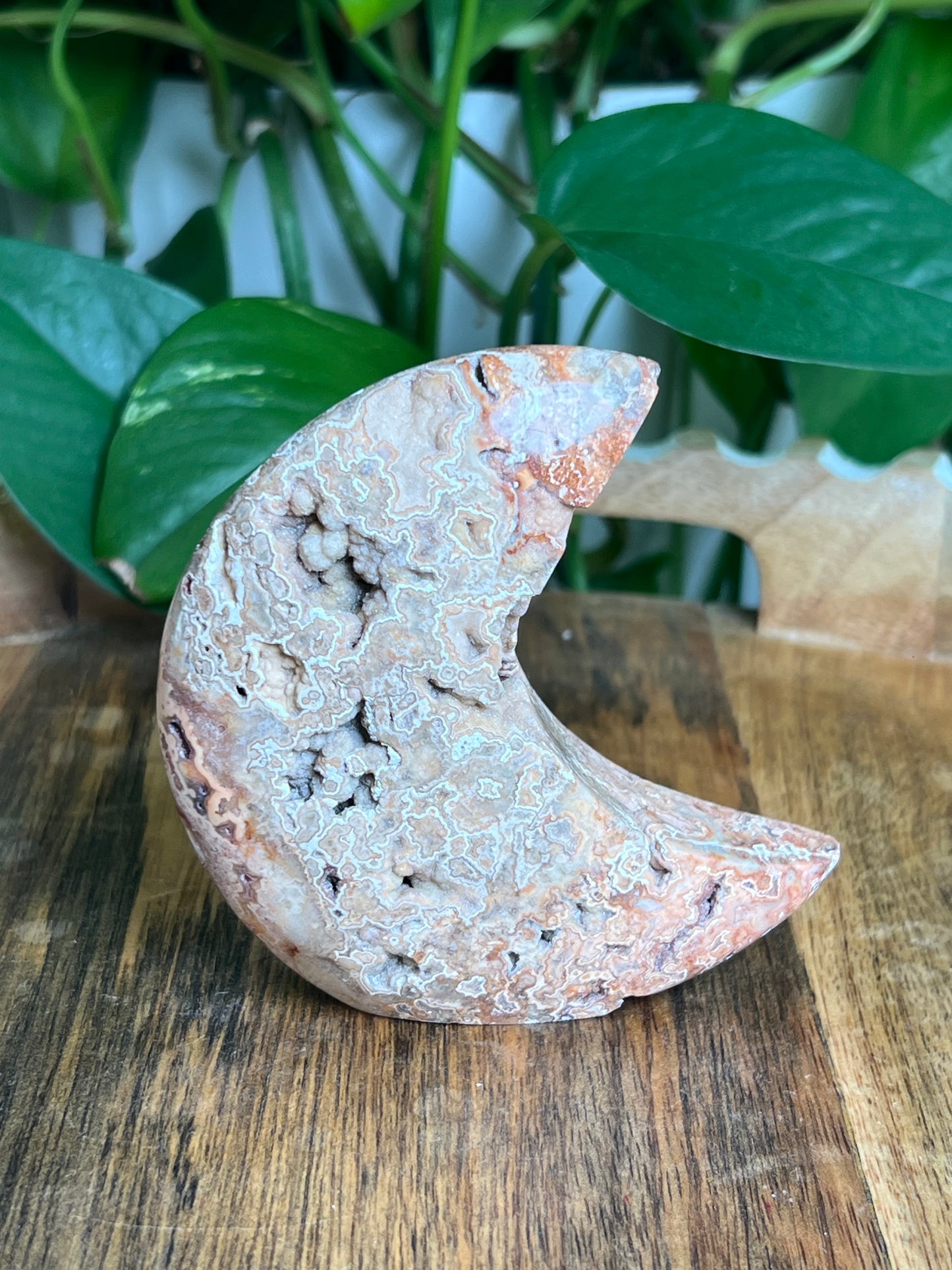 Crazy Lace Agate Self-Standing Moon: MC